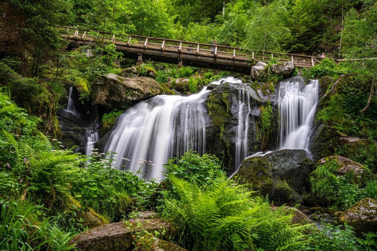 Landhaus Valentin Apartment Triberg im Schwarzwald ภายนอก รูปภาพ