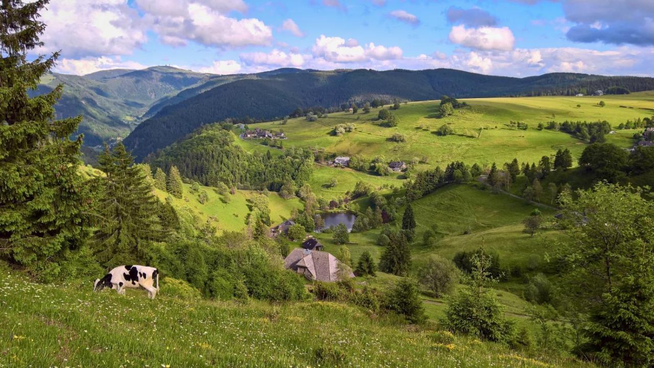 Landhaus Valentin Apartment Triberg im Schwarzwald ภายนอก รูปภาพ