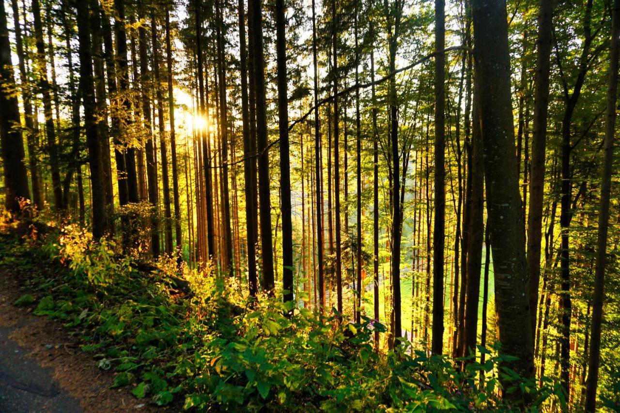 Landhaus Valentin Apartment Triberg im Schwarzwald ภายนอก รูปภาพ