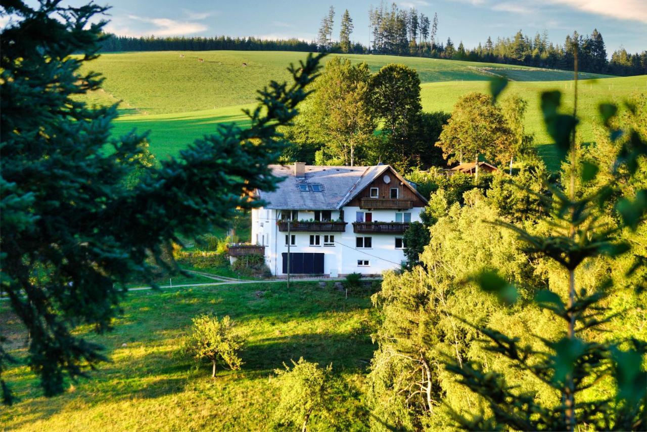 Landhaus Valentin Apartment Triberg im Schwarzwald ภายนอก รูปภาพ