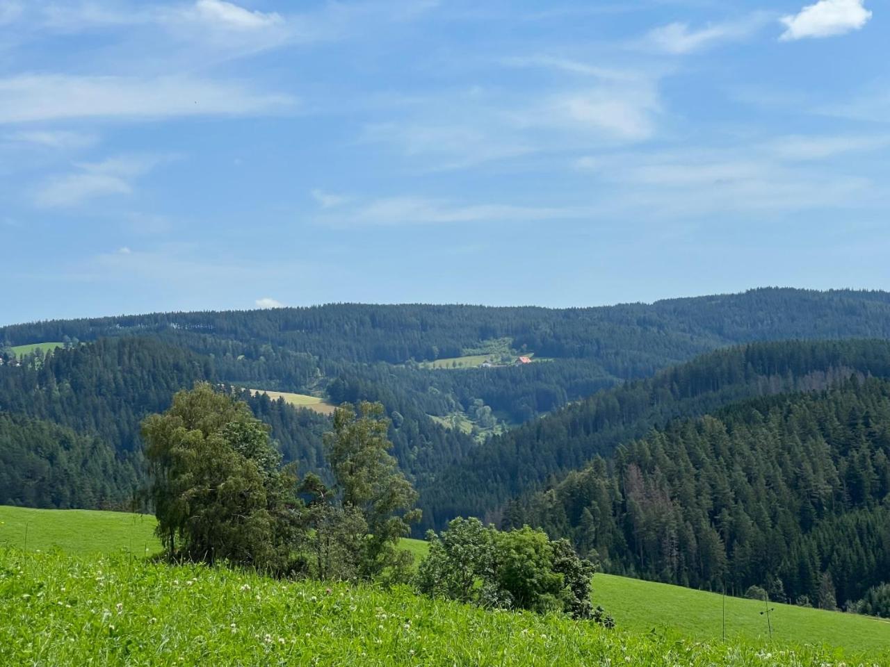 Landhaus Valentin Apartment Triberg im Schwarzwald ภายนอก รูปภาพ