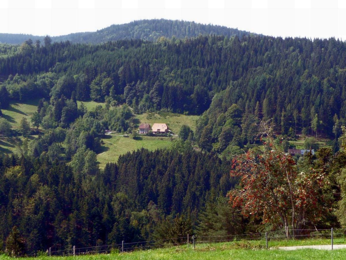 Landhaus Valentin Apartment Triberg im Schwarzwald ภายนอก รูปภาพ