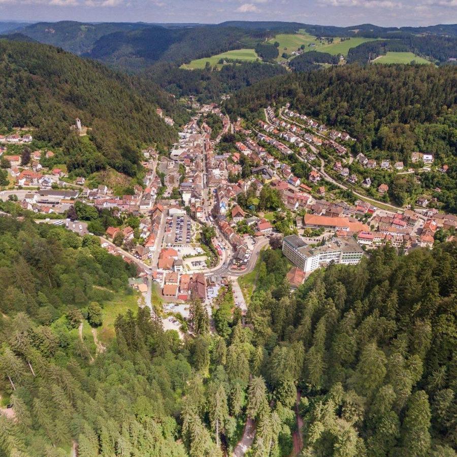 Landhaus Valentin Apartment Triberg im Schwarzwald ภายนอก รูปภาพ