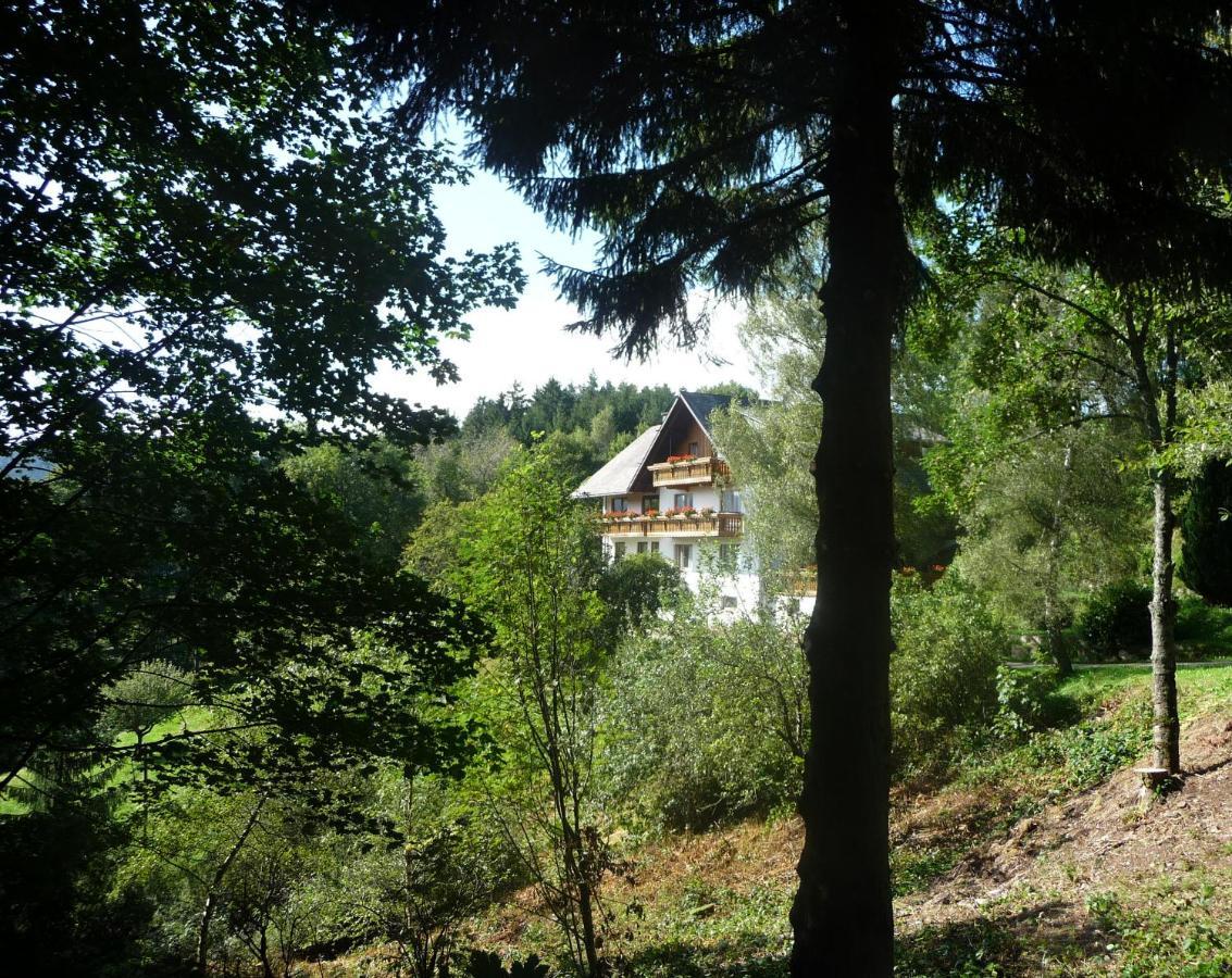 Landhaus Valentin Apartment Triberg im Schwarzwald ภายนอก รูปภาพ